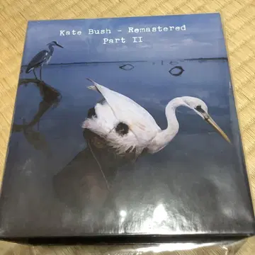 Kate Bush - Remastered Part II