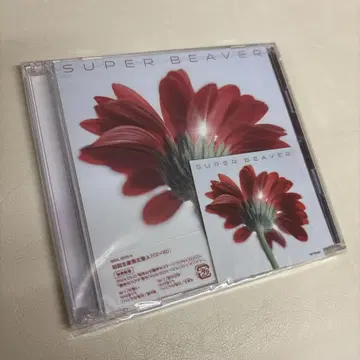 짝사랑/눈물의 정체 super beaver