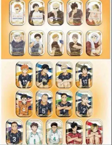 하이큐!! 스퀘어 캔뱃지 세트