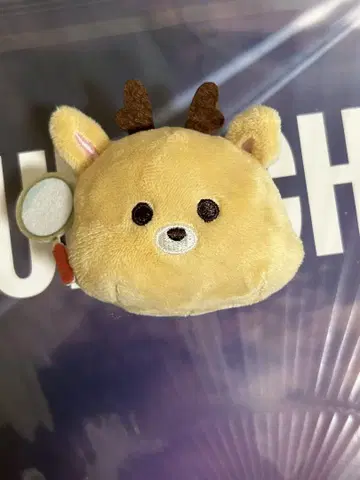 RIIZE 성찬 봉제인형 배지