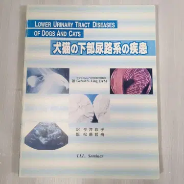 개와 고양이의 하부 요로계 질환