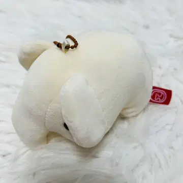 돔돔햄버거 돔돔버거 복권 돔조우 군 밀크