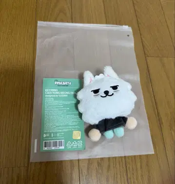 txt 풀바두 용몽 키링 초기