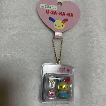 우사하나 미니어처 패키지 참