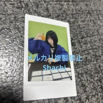 아노 짱 폴라로이드