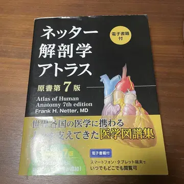 네터 해부학 아틀라스 원서 제7판