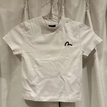 evisu 피치 T