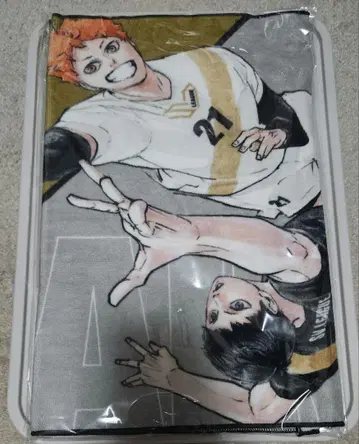 하이큐 SV리그 페이스 타월