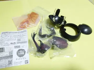 생물대도감 야마토장수풍뎅이 (적갈색) 새상품 미조립 1개