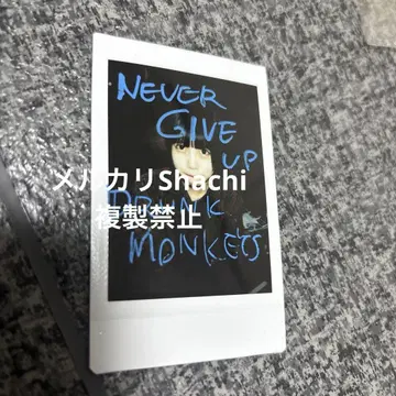 아노 쨩 폴라로이드