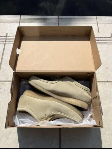 클락스 왈라비