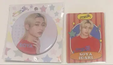 [미개봉 새상품 익명 배송] 이가리 소야 프로필 카드 캔뱃지