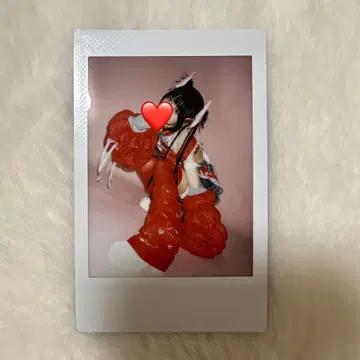 신기루 아무 생탄제 폴라로이드 큐루링뗴시테미테
