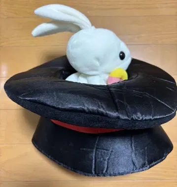 래빗 in 햇