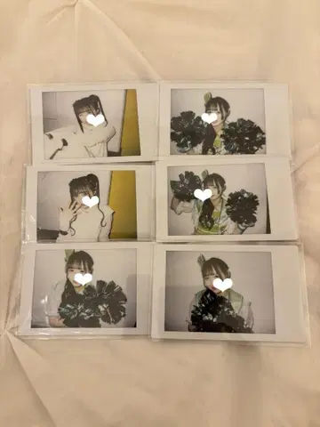 와카바 노아 폴라로이드