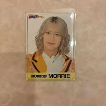BUDDiiS MORREI EBiDAN 신문 특전
