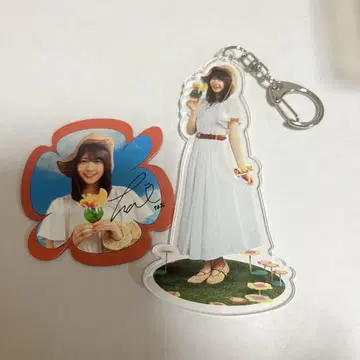 노기카페 NOGICAFE 아크릴 키링 마그넷 토미사토 나오