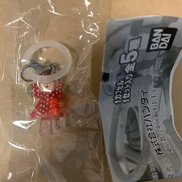 메지루시 액세서리  이치고