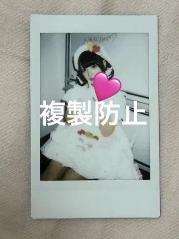 큥루링 해 봐 치바 유나 생탄 폴라로이드