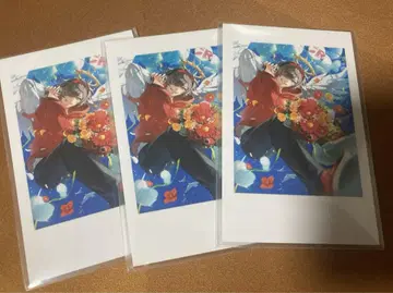 CRAZY RACCOON CR 달마이즈갓 폴라로이드