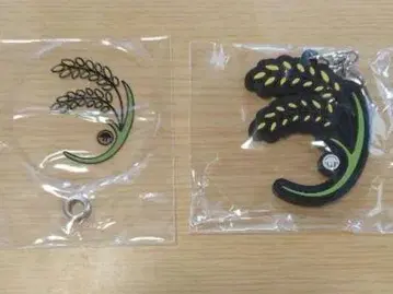 레 돌고래 러브캡슐 이삭