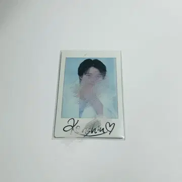 카미무라 켄신 친필 사인 폴라로이드