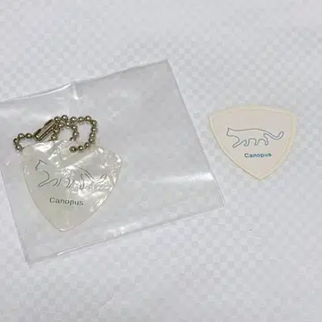 ReoNa 피크 키링