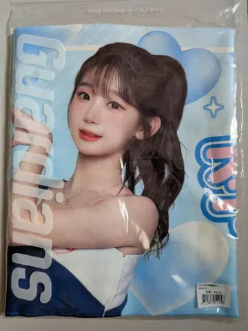 이주은 (이주은) 응원 타월 대만 프로야구 푸방 가디언즈 치어리더