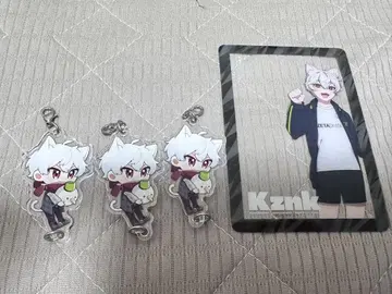 ZETA DIVISION 제5인격 부문 kznk 카즈고양이