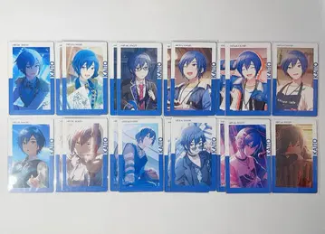 프로세카 에피카 ePick card 노멀 KAITO 묶음 판매 세트