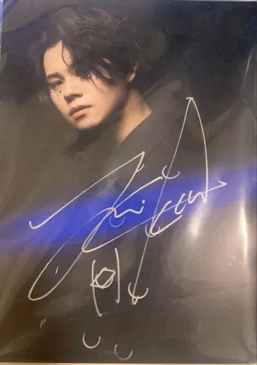 초특급 카이 패널 사인