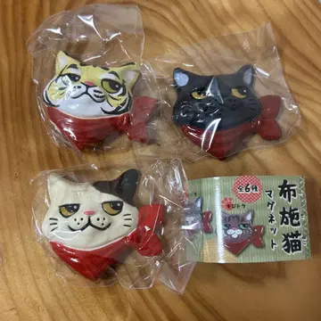 후세 고양이 마그넷 시크릿 쿠로 미케