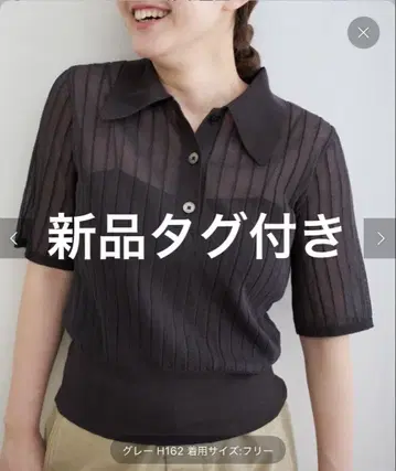 IENA FILMY COTTON 카라 풀오버