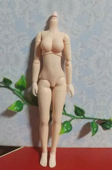 오비츠 바디 구체관절 인형 인형 바디 1/6 인형 바디