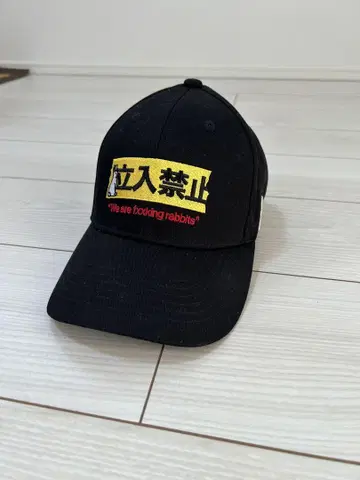 FR2 캡