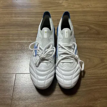 MORELIA NEO