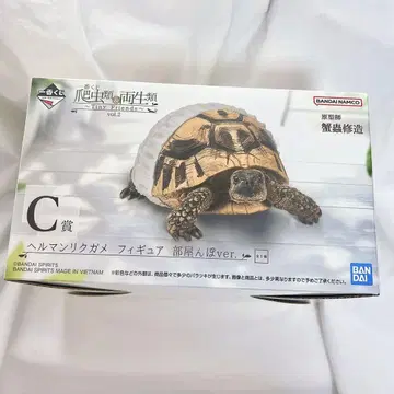 제일복권 파충류&양서류 C상 헤르만 육지거북 피규어 방 안 산책 ver.