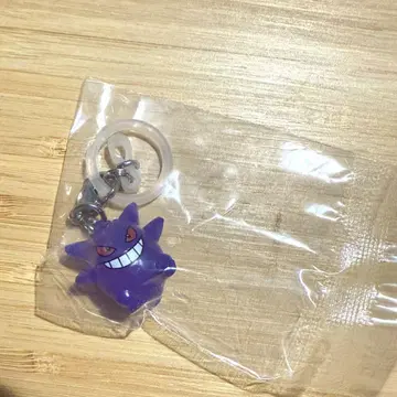 포켓몬 메지루시 액세서리 2