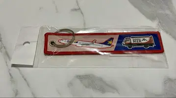 TOKYO MER 스카이마크 플라이트 택