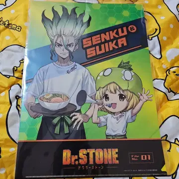 Dr.STONE 클리어 파일 세트 Dr.stone 로손 스토어100