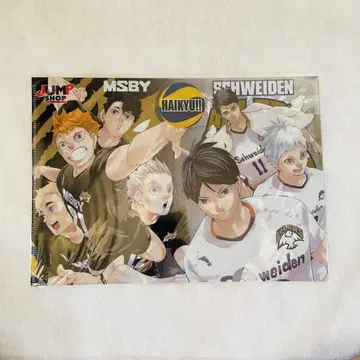 하이큐 클리어 파일 MSBY SCHWEIDEN 점프샵