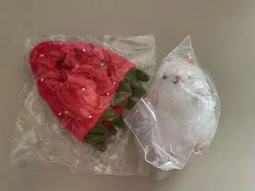 쥐 봉제 인형 & 인형옷 컬렉션 2종 세트