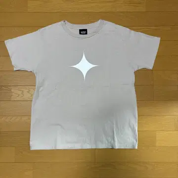 후지이 카제 키라리 T S