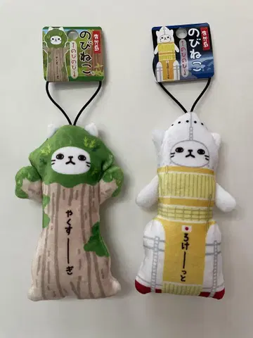 노비네코 가고시마 2종