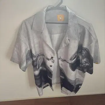 fr2 오픈 카라 셔츠