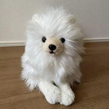 포메라니안 봉제 인형