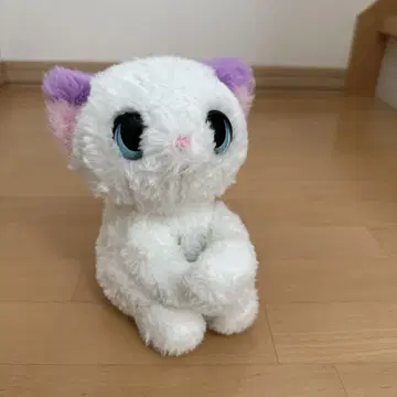 꽉 안아 큥! 어리광쟁이 아기 고양이 타카라토미