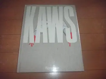 카우스 [ KAWS 1993-2010 ] 아트북/외국도서/구하기 어려움