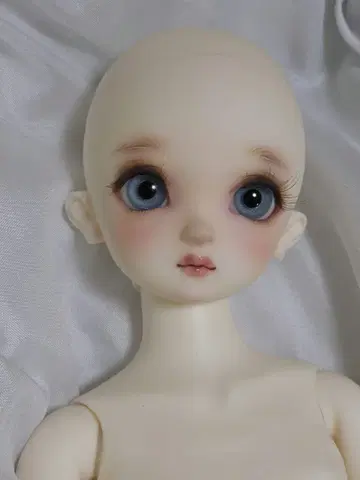 코디네이트 모델 sdm 60 보크스 sd 여아