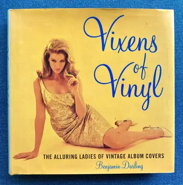 Vixens of Vinyl